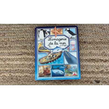 L'imagerie de la Mer Fleurus