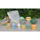 Lot de jouets de bain + Filet Neuf
