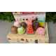 Stand de glaces en bois neuf