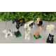 Lot Animaux LEGO Duplo