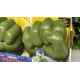 2 Poings de HULK Neufs
