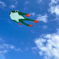 Cerf Volant Grenouille Neuf