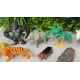 Lot d'animaux sauvages